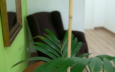 Sala de espera de Clínica Natura en Torrejón de Ardoz.
